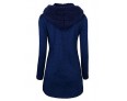 Women's Going out / Casual/Daily /Street chic / Chinoiserie Coat,Solid V Neck Long Sleeve Winter Blue BN0889