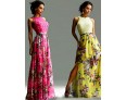 Women's Sexy / Boho Floral Sheath / Swing Dress , Crew Neck Maxi Polyester