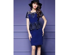 Women's Sophisticated Print Bodycon Dress,Round Neck Knee-length Polyester