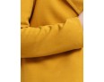 Women's Plus Size Coat,Solid Asymmetrical Long Sleeve Winter Blue / Black / Yellow Others Medium